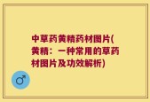 中草药黄精药材图片(黄精：一种常用的草药材图片及功效解析)