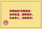 地黄精苗(地黄精苗：祛风除湿，健脾益肾，补血养心，延缓衰老)