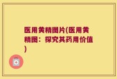医用黄精图片(医用黄精图：探究其药用价值)