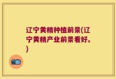 辽宁黄精种植前景(辽宁黄精产业前景看好。)