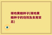 禄劝黄精种子(禄劝黄精种子的功效及食用禁忌)