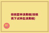 核桃套种滇黄精(核桃壳下试种出滇黄精)