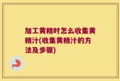 加工黄精时怎么收集黄精汁(收集黄精汁的方法及步骤)
