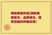 揭阳黄精种苗(揭阳黄精苗木：品质保证，值得信赖的种植选择)