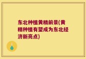 东北种植黄精前景(黄精种植有望成为东北经济新亮点)