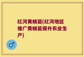 红河黄精苗(红河地区推广黄精苗提升农业生产)