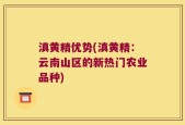 滇黄精优势(滇黄精：云南山区的新热门农业品种)