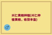兴仁黄精种植(兴仁种植黄精，收获丰盈)