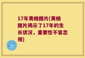 17年黄精图片(黄精图片揭示了17年的生长状况，重要性不容忽视)
