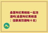 桑葚枸杞黄精能一起泡酒吗(桑葚枸杞黄精酒：佳酿美饮趣味十足)