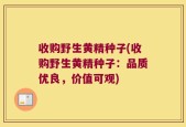 收购野生黄精种子(收购野生黄精种子：品质优良，价值可观)