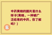 中药黄精的图片是什么样子(黄精，一种被广泛应用的中药，你了解吗？)