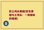 野土鸡头黄精(野生黄精与土鸡头：一场美味的相遇)