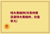 特大黄精种(珍贵种质资源特大黄精种，价值非凡)