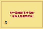 多叶黄精图(多叶黄精：草原上孤傲的花朵)