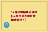12月初黄精块可种吗(12月初是否适合种植黄精块？)