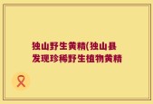 独山野生黄精(独山县发现珍稀野生植物黄精