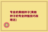 专业的黄精种子(黄精种子的专业种植技巧和理念)