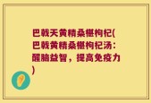 巴戟天黄精桑椹枸杞(巴戟黄精桑椹枸杞汤：醒脑益智，提高免疫力)