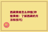 西藏黄精怎么种植(种植黄精：了解西藏的方法和技巧)