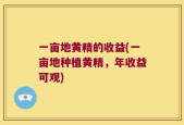 一亩地黄精的收益(一亩地种植黄精，年收益可观)