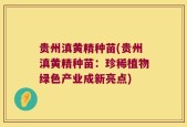 贵州滇黄精种苗(贵州滇黄精种苗：珍稀植物绿色产业成新亮点)