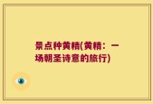 景点种黄精(黄精：一场朝圣诗意的旅行)