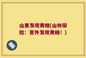 山里发现黄精(山林探险：意外发现黄精！)