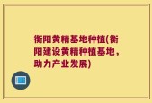 衡阳黄精基地种植(衡阳建设黄精种植基地，助力产业发展)