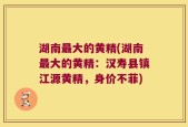 湖南最大的黄精(湖南最大的黄精：汉寿县镇江源黄精，身价不菲)