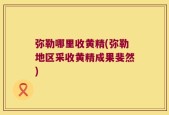 弥勒哪里收黄精(弥勒地区采收黄精成果斐然)