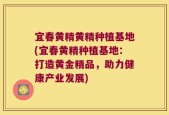宜春黄精黄精种植基地(宜春黄精种植基地：打造黄金精品，助力健康产业发展)