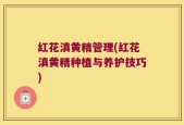 红花滇黄精管理(红花滇黄精种植与养护技巧)