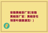 安徽黄精茶厂家(安徽黄精茶厂家：黄精茶引领茶叶健康潮流！)