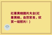 红果黄精图片大全(红果黄精，自然常青，欣赏一组照片！)