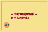 天台的黄精(黄精在天台生长的故事)