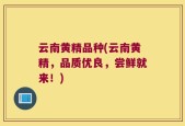 云南黄精品种(云南黄精，品质优良，尝鲜就来！)