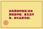 湖南黄精种植苗(湖南黄精苗种植：重生态环保，提升品质效益)