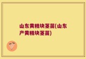 山东黄精块茎苗(山东产黄精块茎苗)