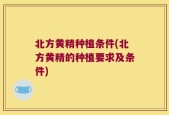 北方黄精种植条件(北方黄精的种植要求及条件)