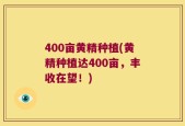 400亩黄精种植(黄精种植达400亩，丰收在望！)