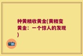 种黄精收黄金(黄精变黄金：一个惊人的发现)