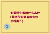 安徽野生黄精什么品种(黄精在安徽有哪些野生种类？)