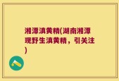 湘潭滇黄精(湖南湘潭现野生滇黄精，引关注)