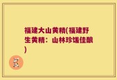 福建大山黄精(福建野生黄精：山林珍馐佳酿)