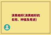 滇黄精籽(滇黄精籽的名称、种植及用途)