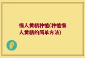 懒人黄精种植(种植懒人黄精的简单方法)