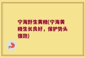 宁海野生黄精(宁海黄精生长良好，保护势头强劲)