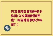 兴义黄精每亩地种多少株苗(兴义黄精种植密度：每亩地需种多少株苗？)