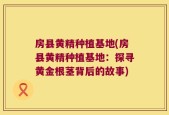 房县黄精种植基地(房县黄精种植基地：探寻黄金根茎背后的故事)
